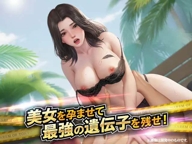 ハーレムオブトーキョー X女、金、名声!漢の夢、ここに在りRPGPCブラウザ - ⭐ レビュー評価:ひよこの本音レビュー